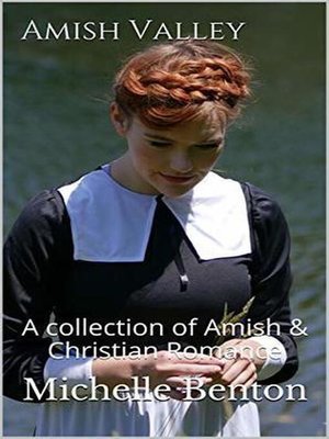 cover image of Amish Valley